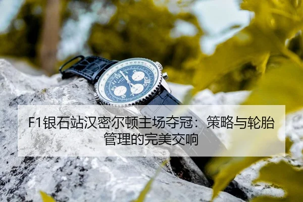 yin-shi-zhan-han-mi-er-dun-zhu-chang-duo-guan-ce-lve-yu-lun-tai-guan-li-de-wan-mei-jiao-xiang-3-503.jpg