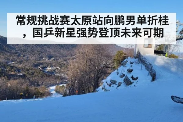 常规挑战赛太原站向鹏男单折桂，国乒新星强势登顶未来可期